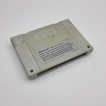 Sensible Soccer - European Champions