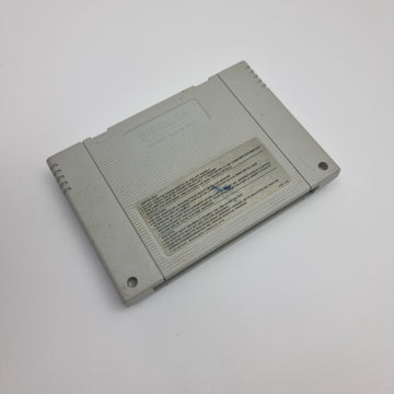 Double Dragon V - The Shadow Falls