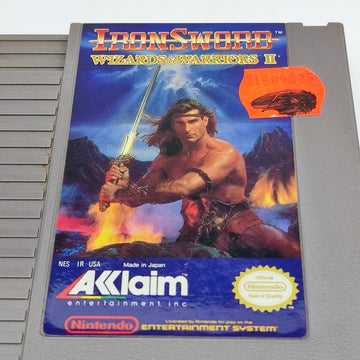 Ironsword: Wizard & Warriors 2
